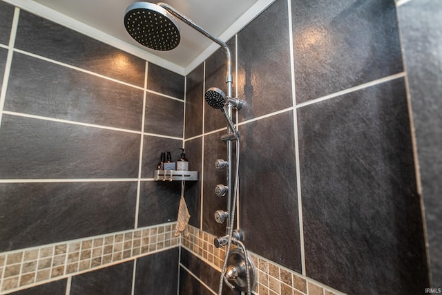 2860 E Moffett Ln, Bloomington, IN 47401 - details featuring tiled shower
