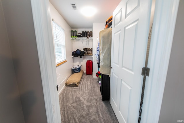 2860 E Moffett Ln, Bloomington, IN 47401 - mudroom featuring visible vents and carpet flooring
