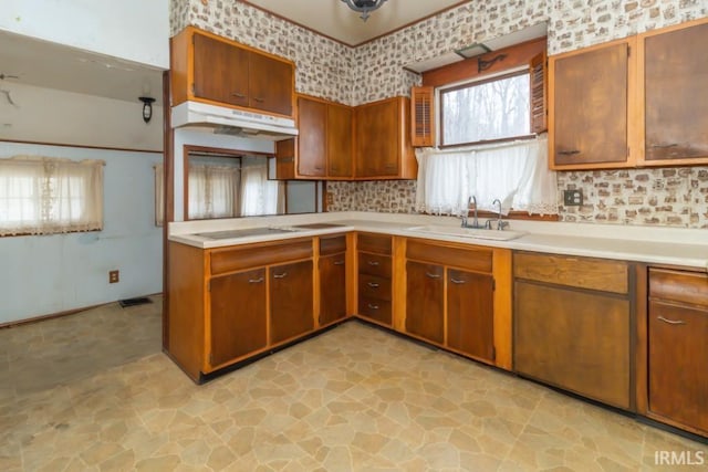 2645 S Greensboro Pike, New Castle, IN 47362 - kitchen with light countertops, stone finish floor, under cabinet range hood, a sink, and black electric stovetop