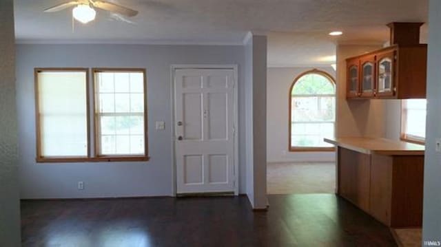905 Stewart Ave, Evansville, IN 47715 - foyer entrance with ceiling fan, dark wood-style flooring, crown molding, and baseboards