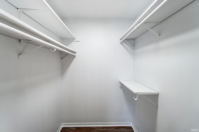 walk in closet featuring dark wood-style floors
