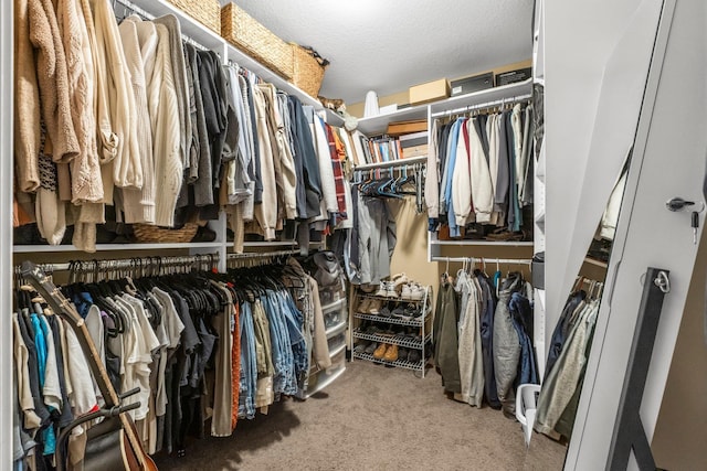 walk in closet with carpet flooring