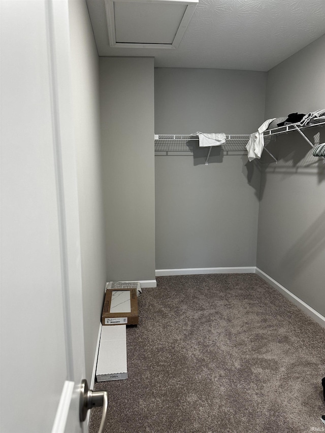 spacious closet featuring carpet and attic access