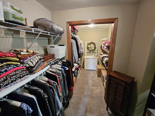 501 Monticello Dr, Vincennes, IN 47591 - walk in closet with carpet flooring