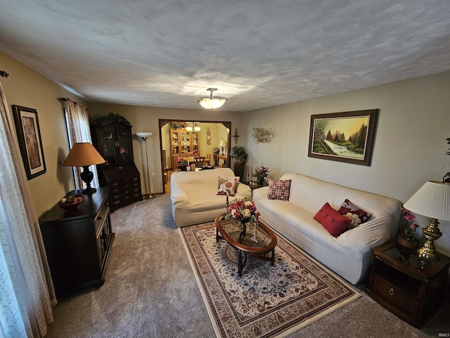 501 Monticello Dr, Vincennes, IN 47591 - living room featuring carpet and a textured ceiling