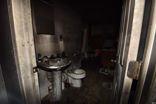 bathroom with a sink and toilet