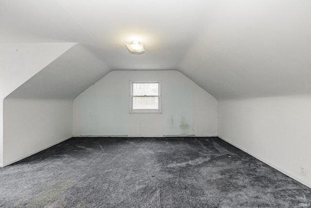 411 S County Road 550 E, Selma, IN 47383 - bonus room with dark carpet and vaulted ceiling