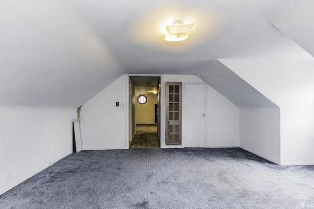 411 S County Road 550 E, Selma, IN 47383 - additional living space featuring lofted ceiling and carpet floors