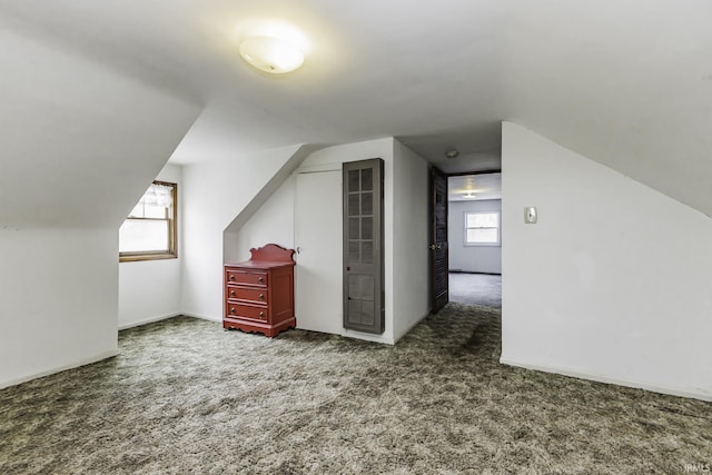 411 S County Road 550 E, Selma, IN 47383 - bonus room featuring carpet flooring, baseboards, lofted ceiling, and plenty of natural light