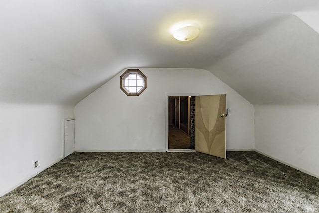 411 S County Road 550 E, Selma, IN 47383 - bonus room with carpet floors and vaulted ceiling