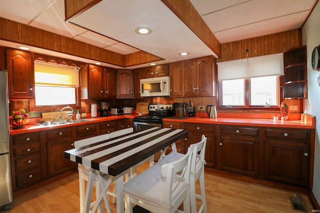 kitchen with a wealth of natural light, light wood-type flooring, a sink, and appliances with stainless steel finishes