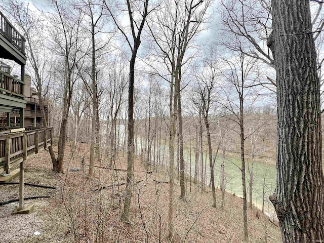 view of yard with a wooden deck