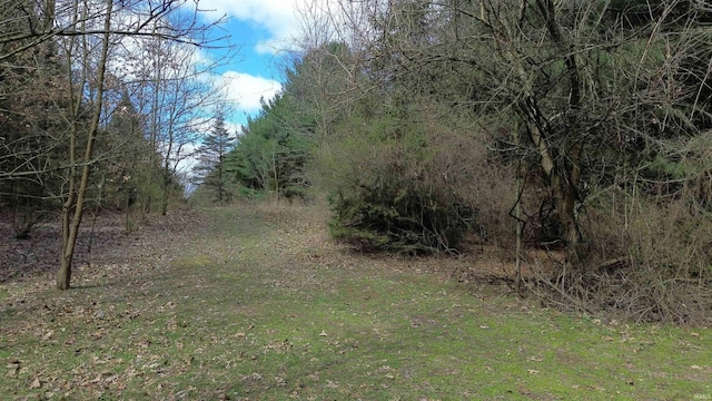 52773 County Road 29, Bristol, IN 46507 - view of landscape