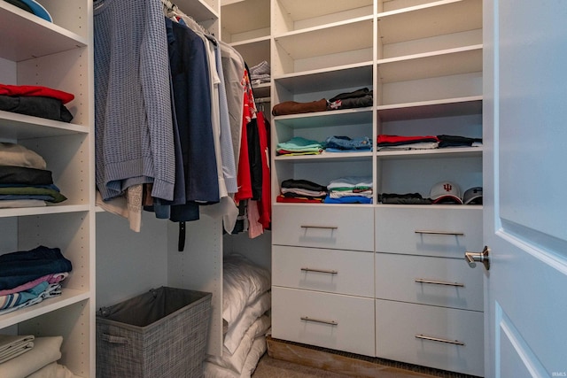 304 W Kirkwood Ave Unit 305, Bloomington, IN 47404 - view of walk in closet
