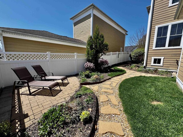 view of yard featuring a fenced backyard and a patio