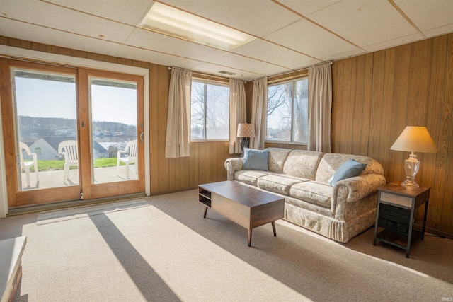 5793 E Pierce Rd, Monticello, IN 47960 - living area featuring wood walls and carpet flooring