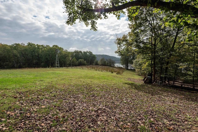 view of yard with a view of trees