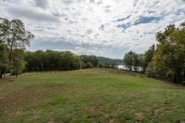 view of yard featuring a wooded view