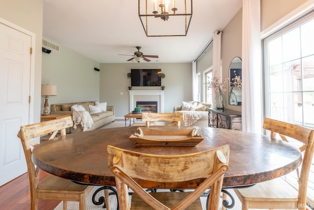 dining area with a tiled fireplace, visible vents, a ceiling fan, and wood finished floors