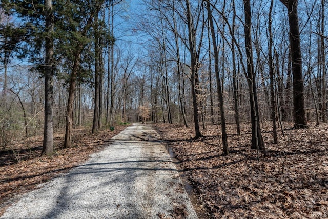 3066 N Pierce Dr, Solsberry, IN 47459 - view of street featuring a wooded view