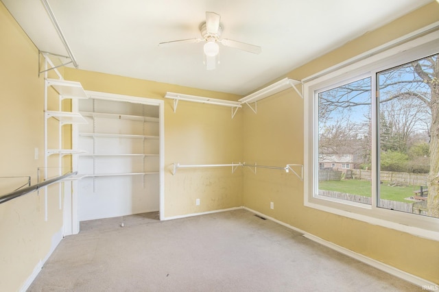 51821 Trowbridge Ln, South Bend, IN 46637 - walk in closet featuring carpet and ceiling fan