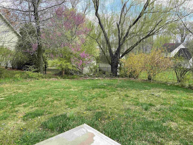 view of yard