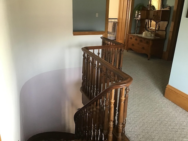 staircase featuring carpet flooring