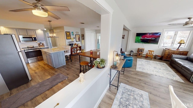 10509 N Lakeview Dr, Monticello, IN 47960 - living room with ceiling fan and light wood-style flooring