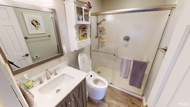 10509 N Lakeview Dr, Monticello, IN 47960 - bathroom with toilet, wood finished floors, vanity, and a stall shower