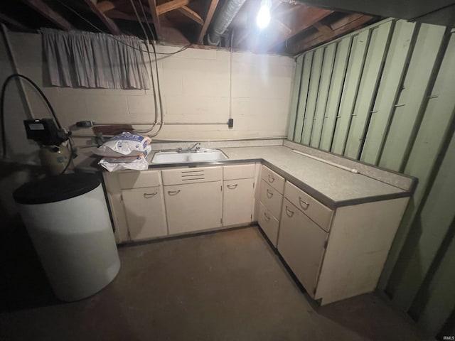 unfinished basement with a sink