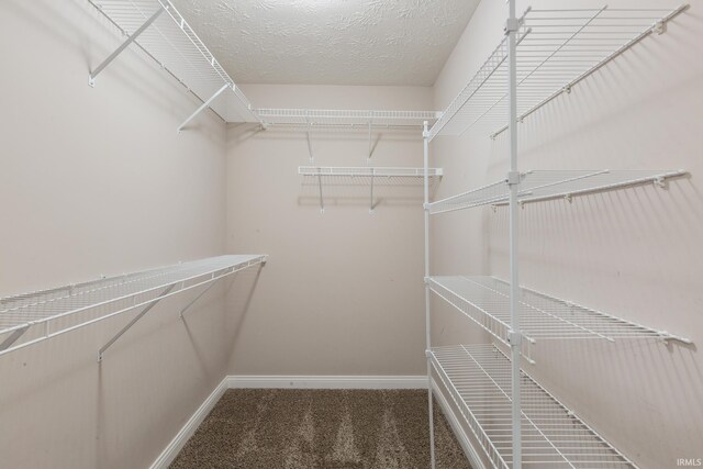 walk in closet with carpet