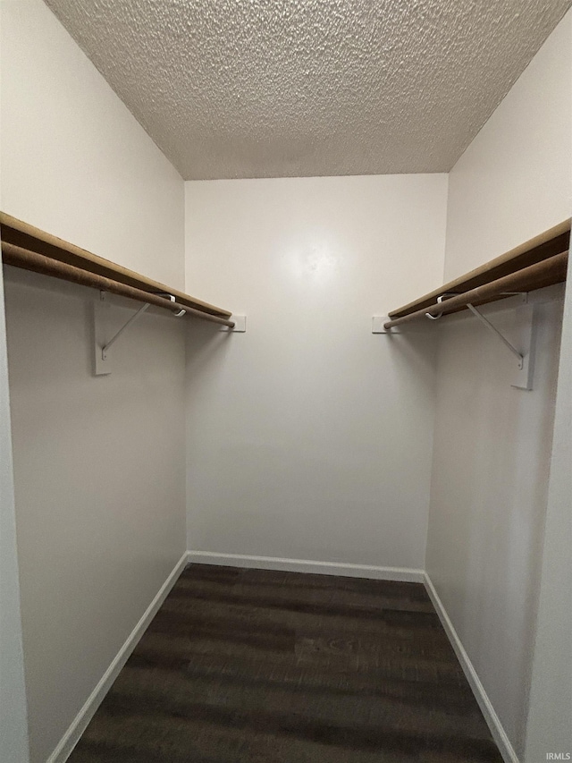 walk in closet with dark wood finished floors