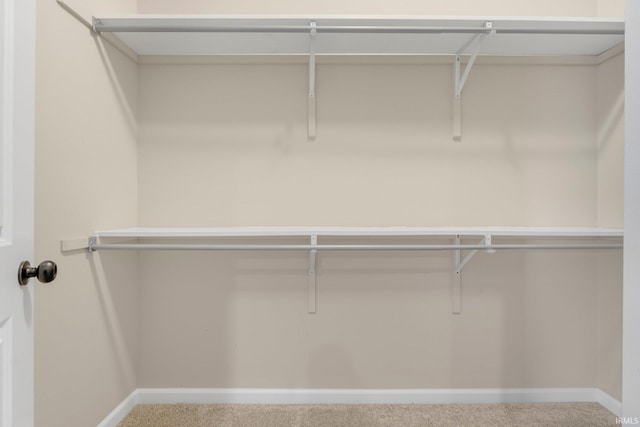 walk in closet featuring carpet floors