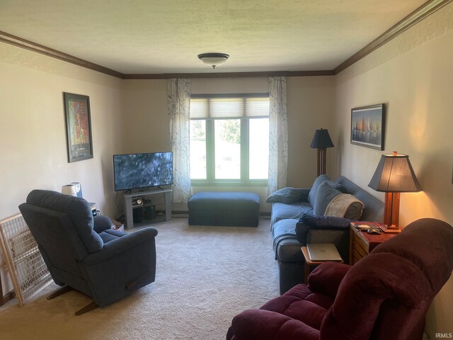 15516 Menominee Dr, Plymouth, IN 46563 - living room with a textured ceiling, carpet flooring, and ornamental molding