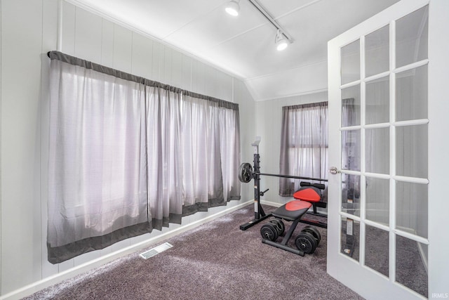 3930 Abbott St, Fort Wayne, IN 46806 - workout area featuring visible vents, baseboards, track lighting, carpet, and lofted ceiling