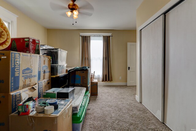 interior space featuring ceiling fan and carpet