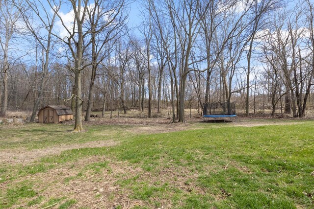 view of yard with a trampoline, an outbuilding, and a storage unit