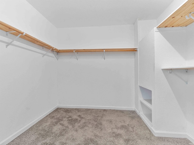 spacious closet featuring carpet floors