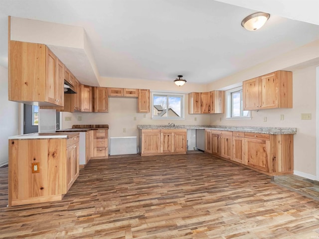 kitchen featuring under cabinet range hood, light brown cabinets, and wood finished floors