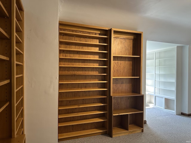 6065 Gladden Dr, Indianapolis, IN 46220 - walk in closet featuring carpet