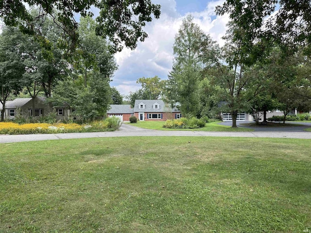 6065 Gladden Dr, Indianapolis, IN 46220 - view of yard