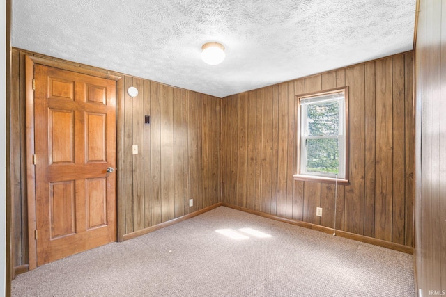 8763 E Backwater Rd, North Webster, IN 46555 - carpeted spare room with wooden walls and a textured ceiling