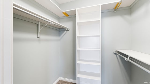 walk in closet with carpet floors