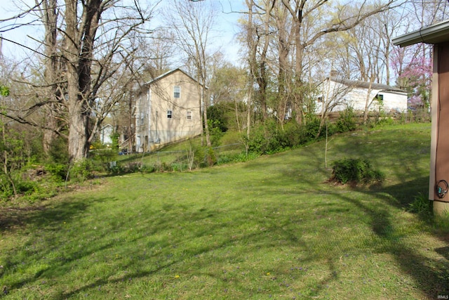 320 W Ritter St, Ellettsville, IN 47429 - view of yard