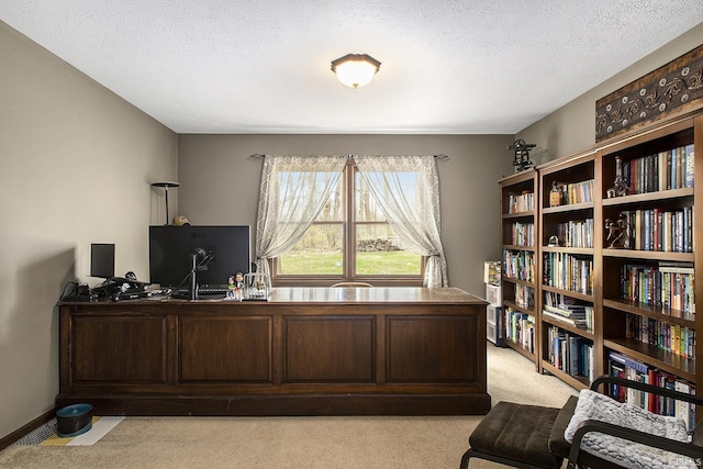 office space featuring a textured ceiling and light colored carpet