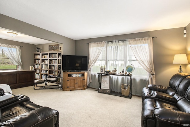 living area featuring light colored carpet