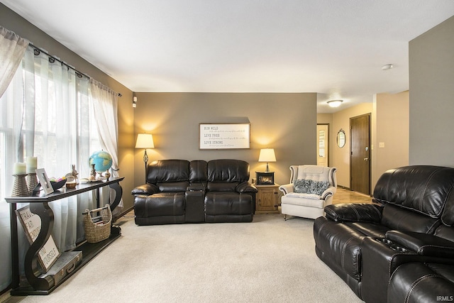 view of carpeted living area