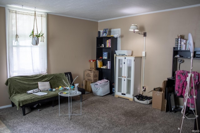 sitting room with carpet and crown molding