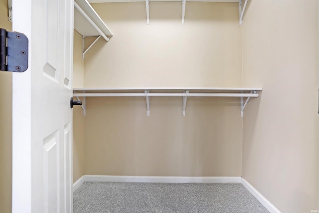 walk in closet with carpet