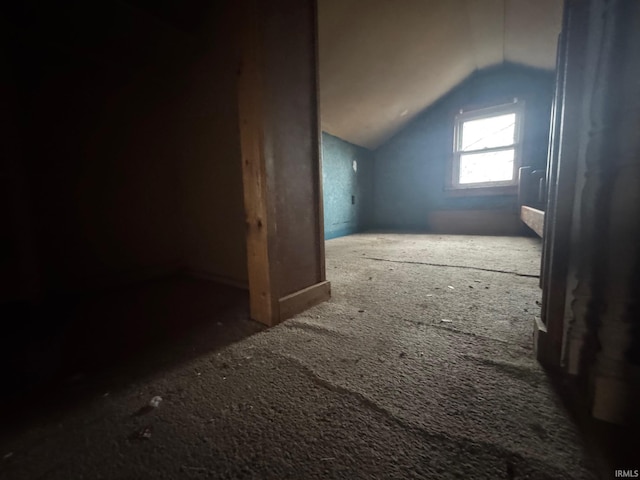 428 N Lincoln St, Oakland City, IN 47660 - additional living space with vaulted ceiling and carpet flooring